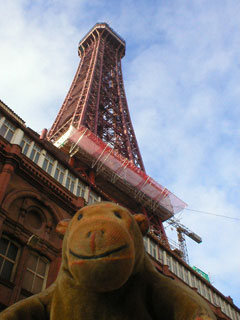 Mr Monkey looking up at the Blackpool Tower