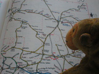 Mr Monkey looking at a map showing train lines into York