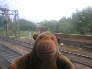 Mr Monkey looking out of the window just before Heaton Norris Junction
