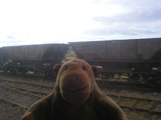Mr Monkey looking at a row of hopper wagons