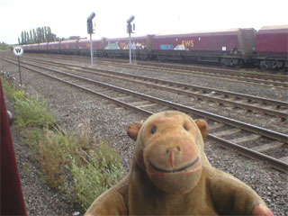 Mr Monkey looking at EWS hopper wagons at Milford Junction