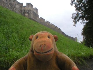 Mr Monkey looking up at the medieval walls of York 