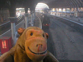 Mr Monkey watching the Scarborough Flyer stopping in York station