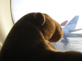 Mr Monkey looking at Manchester Airport from the plane