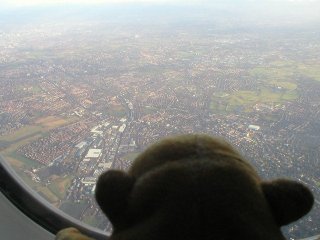 Mr Monkey looking down at Manchester from the plane