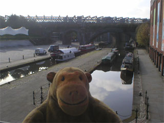 Mr Monkey looking at the Castlefield Basin