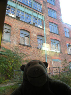 Mr Monkey looking at an unregenerated factory