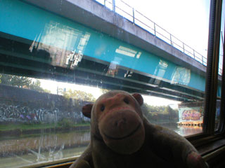 Mr Monkey looking up at the Metrolink line at the Pomona lock