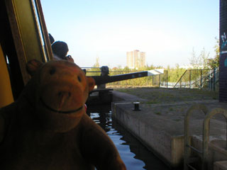 Mr Monkey looking out of the boat in the Pomona lock