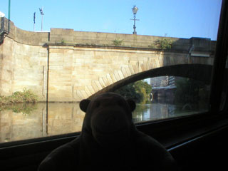 Mr Monkey looking at Albert Bridge