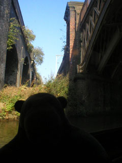 Mr Monkey looking up at the MSJA viaduct and the Cornbrook viaduct