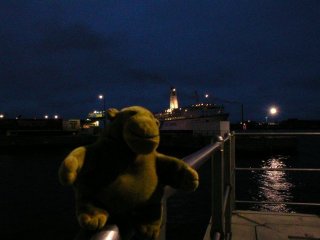 Mr Monkey watching a ferry in the dark