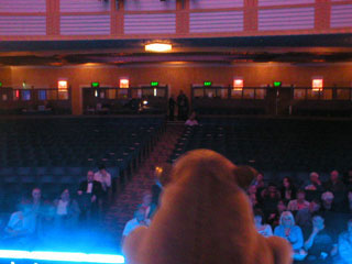 Mr Monkey standing on the stage looking at people sitting in the stalls