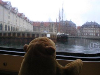Mr Monkey looking out of the water taxi