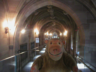 Mr Monkey looking along the cloister