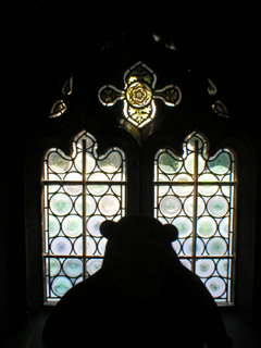 Mr Monkey looking one of the cloister windows