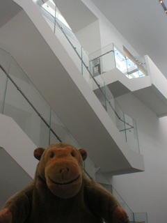 Mr Monkey looking at the staircase in the new building
