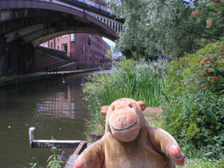 Mr Monkey looking at the Eastgate Building from the north side of the canal