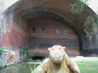 Mr Monkey looking at a canal arm below the railway viaduct