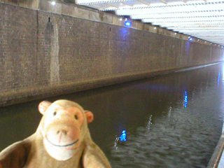 Mr Monkey looking at the coloured lights inside the Deansgate tunnel