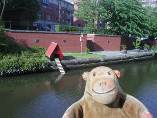 Mr Monkey looking across the canal at a duck house