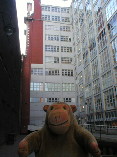 Mr Monkey looking up at the bask of St James' Buildings