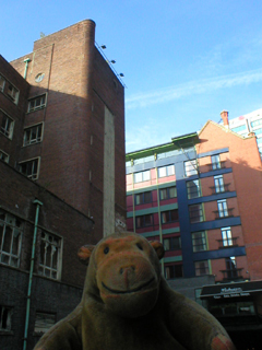 Mr Monkey looking up at the back of the Malmaison Hotel