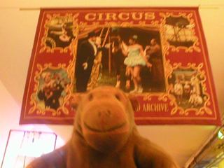 Mr Monkey looking at the National Fairground Archive Circus banner