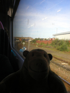 Mr Monkey looking at Southport from the train