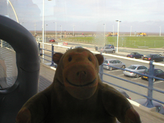 Mr Monkey looking out of the tram window