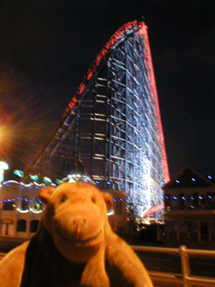 Mr Monkey looking at the illuminated Big One rollercoaster