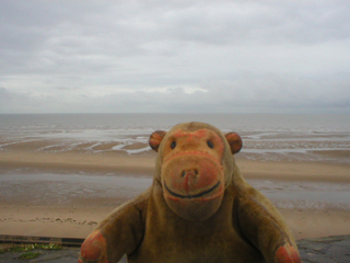 Mr Monkey looking at the beach after the rain