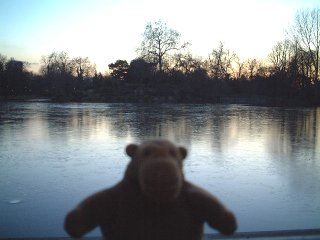 Mr Monkey in front of a lake