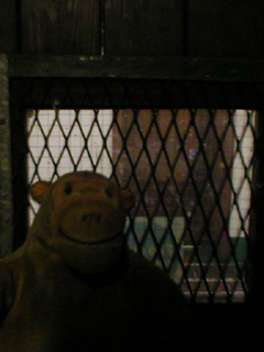 Mr Monkey checking that the door is shut behind him
