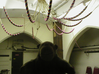 Mr Monkey looking at the bell ropes secured out of harm's way 