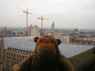 Mr Monkey looking south across the roof of the Town Hall extension
