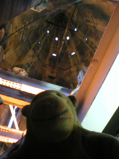 Mr Monkey looking up into the roof of the bell lantern