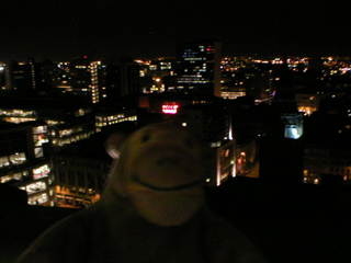 Mr Monkey looking east from the clock tower at night
