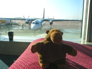 Mr Monkey with a plane in the background