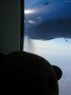 Mr Monkey looking out of a window in flight