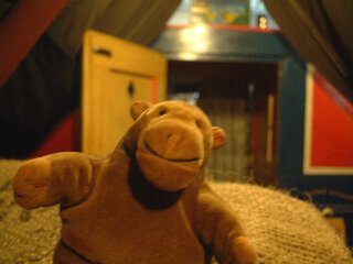 Mr Monkey in the cargo hold of a narrowboat