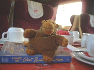 Mr Monkey in first class