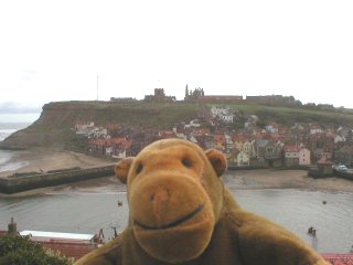 Mr Monkey looking across to Whitby's east side