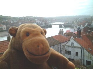 Mr Monkey looking at Whitby harbour