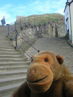 Mr Monkey at the foot of the 199 steps