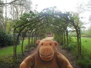 Mr Monkey in an floral archway