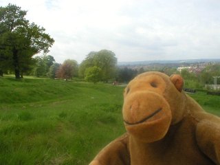 Mr Monkey in front of an overgrown earth bank