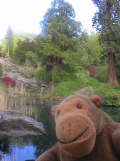 Mr Monkey in front of a pond