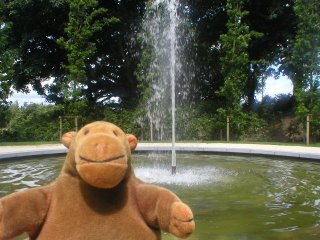 Mr Monkey with a fountain in a pool