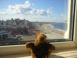 Mr Monkey looking out of his hotel window